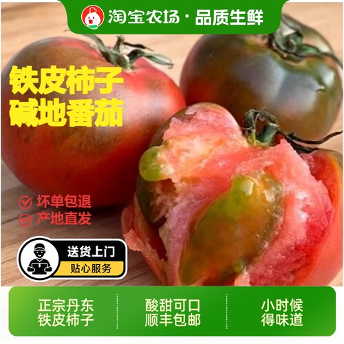 顺丰正宗草莓铁皮柿子酸甜口新鲜当季西红柿生吃水果东北番茄包邮