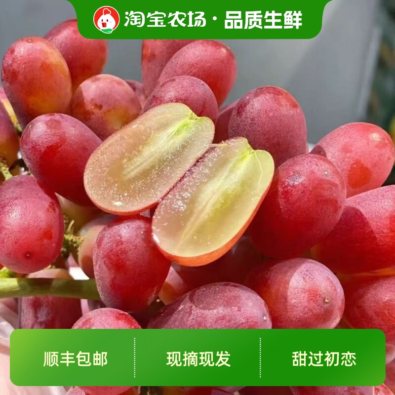 顺丰包邮新鲜克伦生无籽红提葡萄健康水果适合孕妇儿童