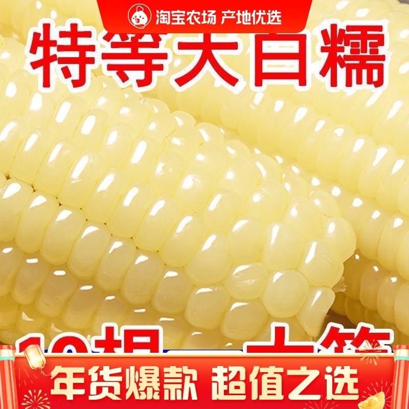 正宗东北白糯玉米软糯香甜拉丝粗粮代餐非即食独立包装甜糯玉米,粮油调味/速食/干货/烘焙,玉米,淘宝优惠券,粉丝福利购,淘宝优惠卷