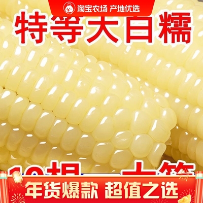 正宗东北白糯玉米软糯香甜拉丝粗粮代餐非即食独立包装甜糯玉米