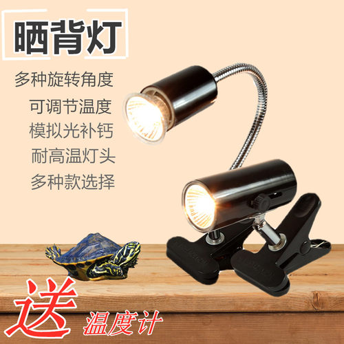 乌龟缸加热背灯光谱补钙