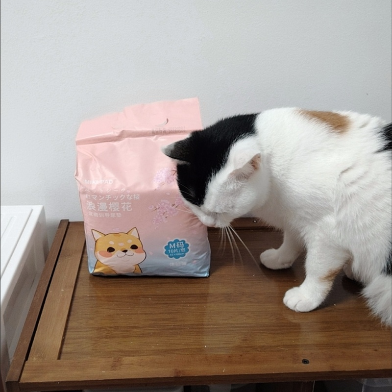 猫咪片宠物垫一次性外出卫生垫猫咪生产隔垫