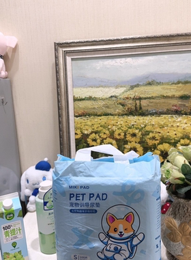 狗狗垫加厚特厚隔布垫一次性宠物兔子垫布猫咪