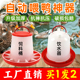 鸭子饮水器喂鸭食槽懒人神器投喂器饲料盆饲料桶水壶专用盆投喂器