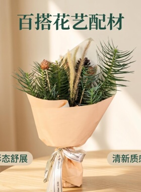 杉树叶花束插花造景摆件森系布景