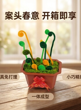 卷芽呐春搭配红丝带盆桌面摆件