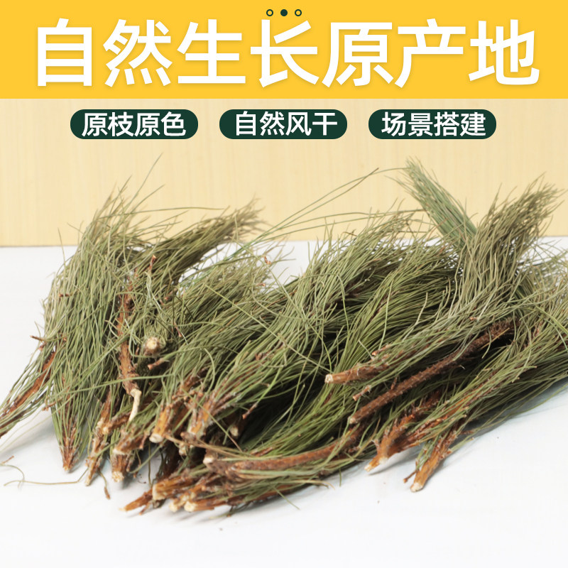 松柏枝叶永生花DIY手工材料图片