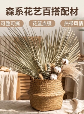 棕榈叶手工材料编织玩具蒲扇捆粽