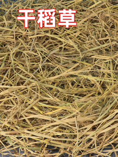 鸭 干稻草垫窝狗 猫 鸡 宠物垫窝铺窝取暖防寒软稻草 鹅兔草窝冬季