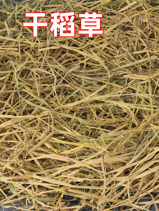 干稻草垫窝狗 猫 鸡 鸭 鹅兔草窝冬季宠物垫窝铺窝取暖防寒软稻草