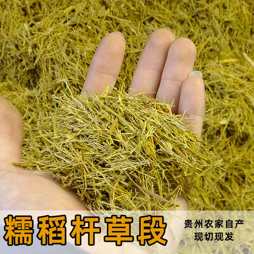 草纤维糯稻草段手工现切