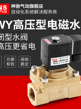 常闭电磁阀水阀ac220v气阀全铜dc24vdc12v2控制2WY高压水阀电磁阀