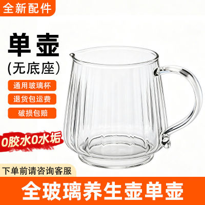 小熊迷你养生壶玻璃杯