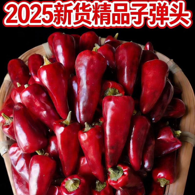 贵州子弹头干辣椒中辣特香虾子朝天辣椒小灯笼椒500G农家麻辣香锅