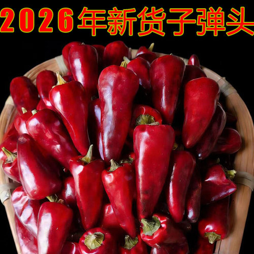 贵州子弹头干辣椒中辣朝天小500g
