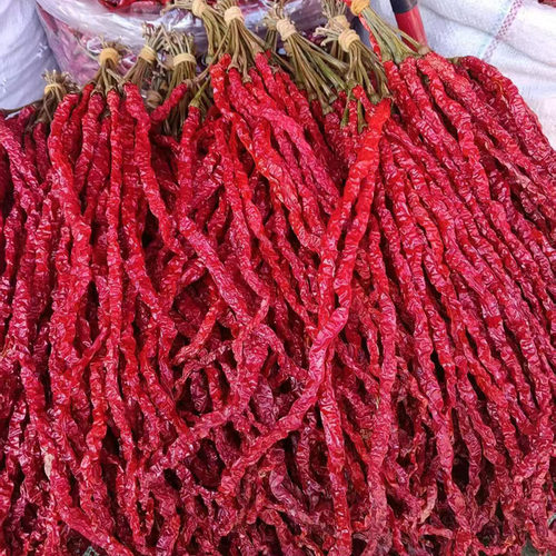 贵州特产毕节大方皱椒250g微辣