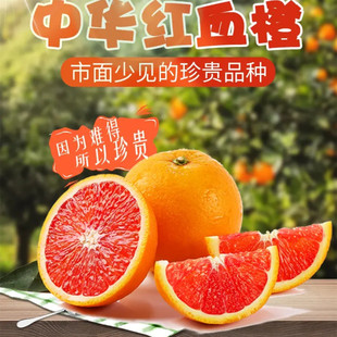 正宗赣南血橙赣州宁都产地直发当季新鲜水果赣南血橙