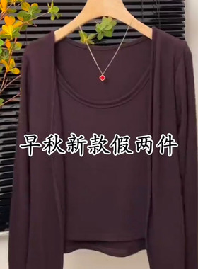 2025年慕斯假两件开衫u领T恤女春秋款设计感气质减龄长袖打底上衣