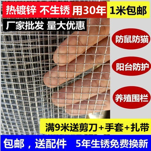 镀锌防老鼠铁丝网防猫网阳台防护防盗窗沙网多肉防鸟钢丝网养殖网