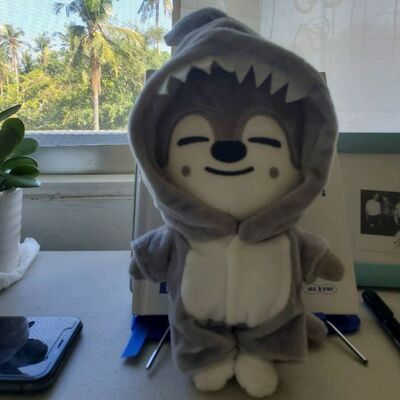 StrayKids玩偶skzoo毛绒公仔Leeknow Hyunjin玩具棉花娃娃衣20cm