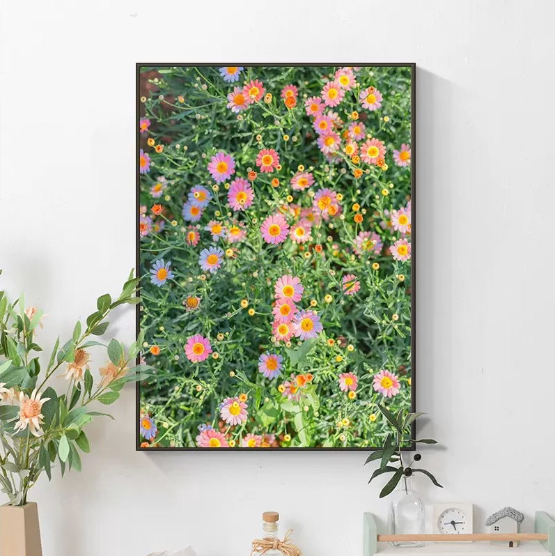 彩色小雏菊5d钻石画2023新款客厅十字绣钻石贴画手工diy点钻带框