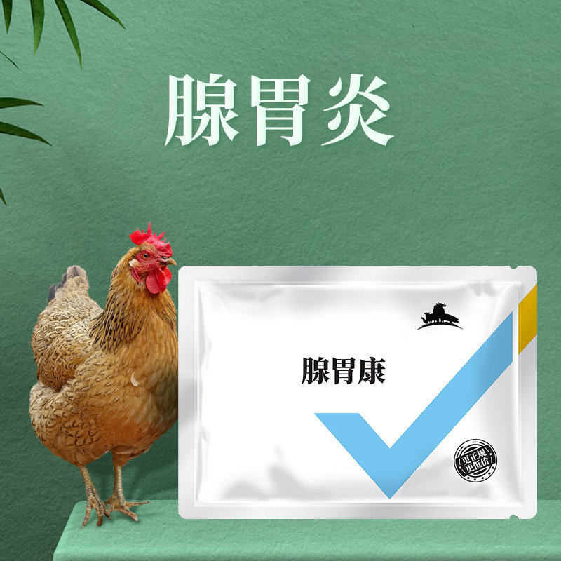 鸡腺胃炎腺胃康肌腺炎鸭鹅过料蛋鸡鹌鹑鸽禽健胃饲料肠炎兽用