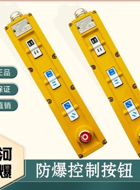 防爆电动葫芦控制手柄 BAK63-7黄河防爆原厂郎太牌防爆手柄按钮
