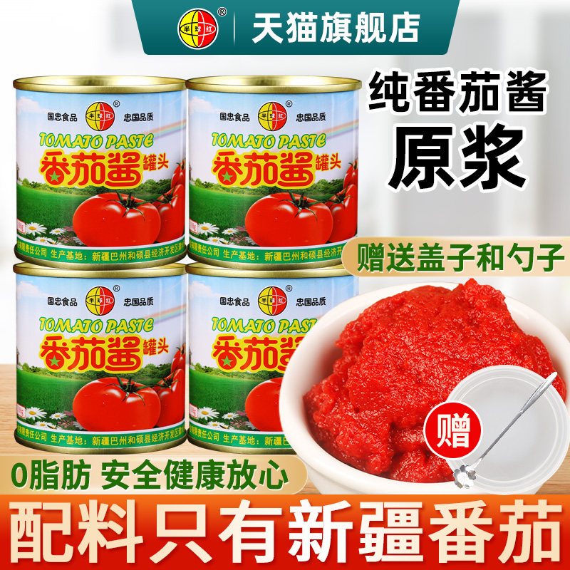 半球红番茄酱198g无添加色素家用图片