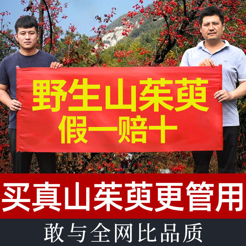 山茱萸山萸肉中药材正品官方店秦岭野生搭五味子茱萸干泡水喝