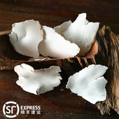 薄片 云茯苓 天然无硫 茯苓卷 中药材 云南白茯苓 非土茯苓 野生