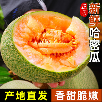新鲜海南哈密瓜~薄皮脆甜多汁