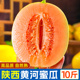 哈5密瓜 包邮 沙漠红金宝香瓜当季 陕西黄河蜜甜瓜10斤新鲜水果整箱