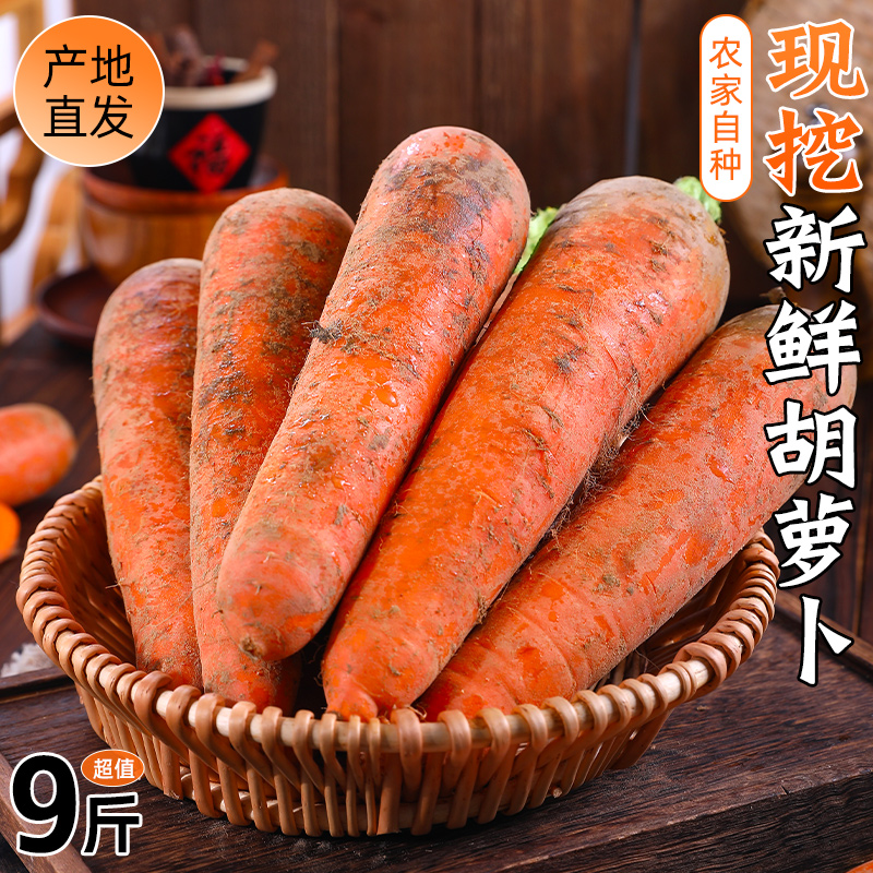新鲜胡萝卜|农家自种|现挖脆甜
