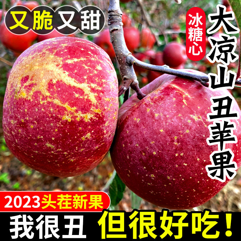 大凉山丑苹果10斤新鲜当季水果青盐源红富士冰糖心丑平果整箱包邮高性价比高么？