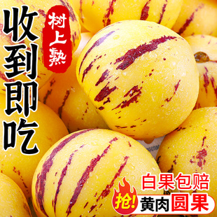 包郵 人參果新鮮云南石林人叁果圓果人生果娃娃果七彩黃肉水果整箱