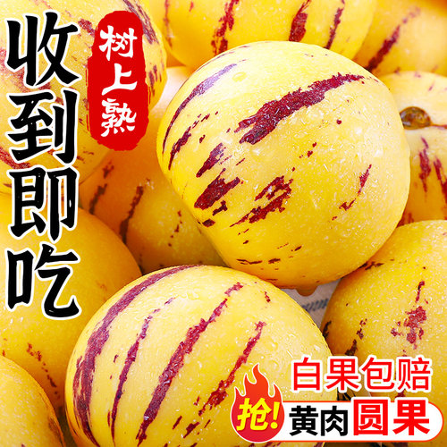 【24h速发】石林人参果~黄肉圆果