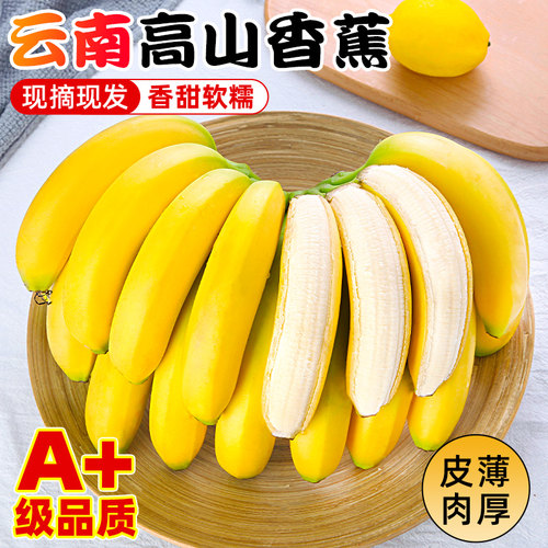 A+级品质高山大香蕉香甜软糯