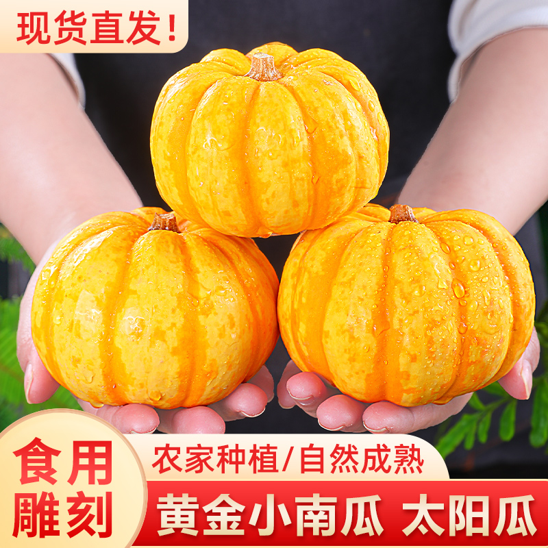 太阳瓜！黄金小南瓜！软糯香甜！