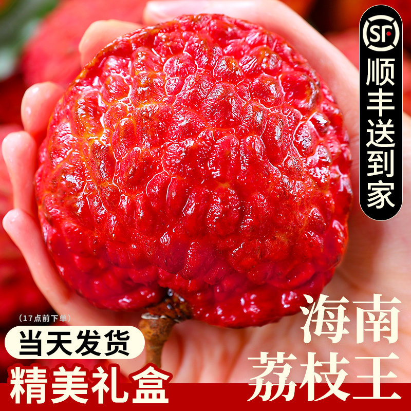 海南荔枝王新鲜水果当季整箱包邮火山口超大巨霸现摘无级妃子荔枝