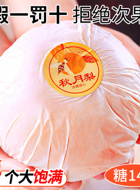 秋月梨正宗山东莱阳新鲜梨子水果10斤官方旗舰店正品整箱礼盒包邮