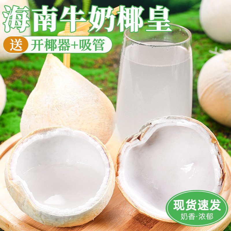 海南牛奶椰皇9个装新鲜椰青当季煲鸡汤老椰子肉椰宝椰汁孕妇整箱3