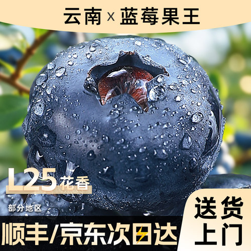 云南蓝莓老树果【热卖TOP商家】