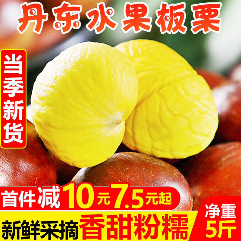 丹东新鲜水果板栗5斤现摘当季生栗子红栗锥栗去毛球嫩栗蔬菜包邮
