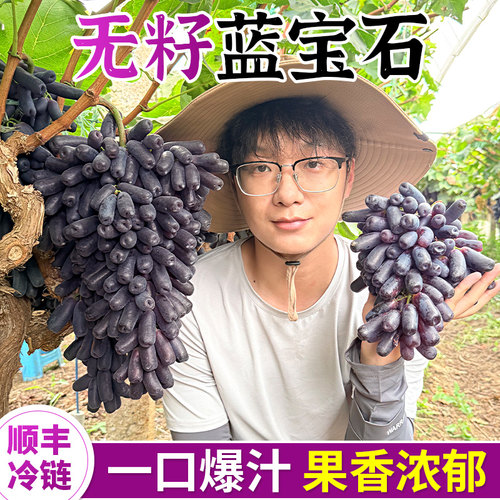 蓝宝石葡萄｜力荐，甜蜜无籽！