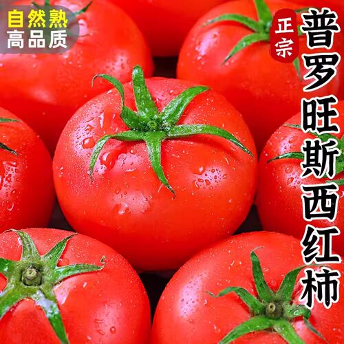 【正宗】普罗旺斯自然熟番茄