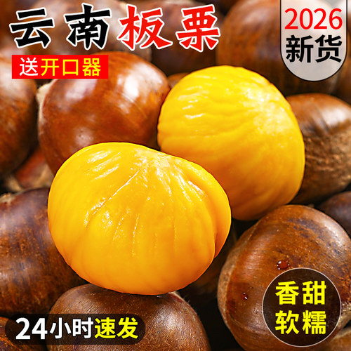 「新鲜云南生板栗」2026年新下树