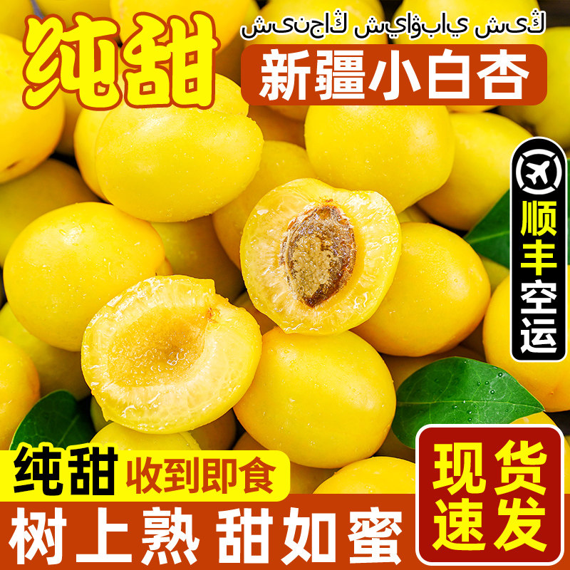 新疆小白杏子新鲜水果库车轮台甜杏4斤当季小红杏吊干油香杏包邮
