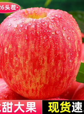 山西红富士苹果正宗现摘新鲜水果应当季脆甜冰糖心丑萍果整箱包邮