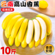 现摘芭蕉小米蕉大香焦批发整箱自然熟 高山甜香蕉新鲜10斤水果当季