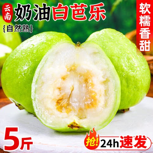 软甜白心芭乐水果口感香甜绵密